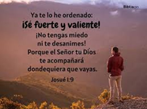 images (8)2